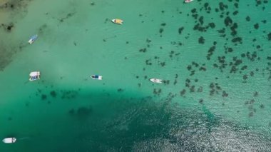 Mauritius 'un güzel mercan resifinin kuş bakışı görüntüsü. Mauritius adasındaki inanılmaz mercan resifi ve mavi lagün..