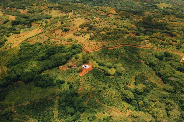 Vista Aves Las Montañas Campos Isla Mauricio Paisajes Mauricio — Foto de Stock