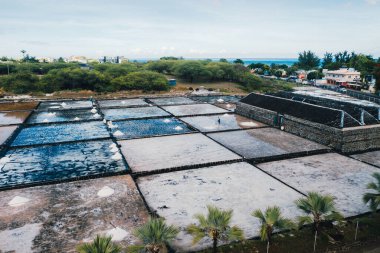 İnsanlar Mauritius 'taki Hint Okyanusu kıyısında güneşli bir günde tuz topluyor..