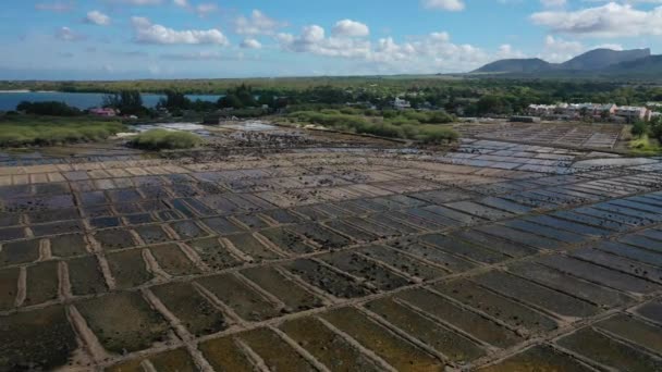 Widok Góry Tamarin Soli Produkcji Soli Morskiej Mauritius — Wideo stockowe