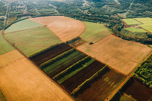 Fotografía Aérea Campos Redondos Rectangulares Situados Isla Mauricio — Foto de Stock