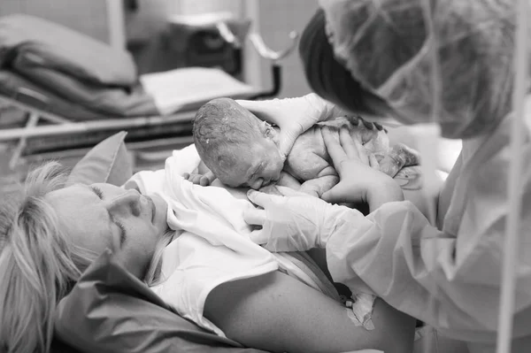 ใกล ยงของทารกแรกเก นกระด กหน าอกของแม ในแผนกคลอดของโรงพยาบาล งคลอด ภาพขาวด — ภาพถ่ายสต็อก