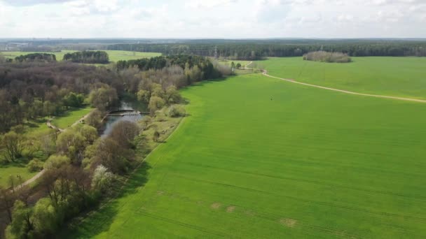 Vuelo lento sobre un campo verde sembrado y un río. Imágenes de drones 4K. Campos de Bielorrusia . — Vídeos de Stock