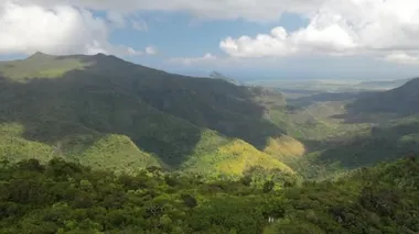 Ormanın ve mavi gökyüzünün üst manzarası, Mauritius.