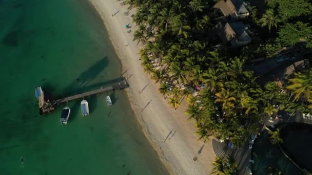 Rıhtım kıyısı boyunca sahil ve mercan resifi ve palmiye ağaçları Mauritius, Afrika, Mauritius adasının kıyısında rıhtım. — Stok video