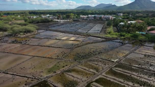 Widok Góry Tamarin Soli Produkcji Soli Morskiej Mauritius — Wideo stockowe