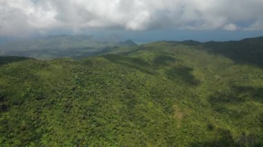 Ormanın ve mavi gökyüzünün üst manzarası, Mauritius.