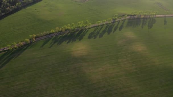 Luftaufnahme eines grünen Feldes und einer Straße. Grünes Feld in Europa.Natur Weißrussland.Grünes Feld bei Sonnenuntergang und auf der Straße gesät — Stockvideo