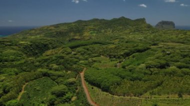 Mauritius Adası, Mauritius ormanında dağın tepesindeki yol.