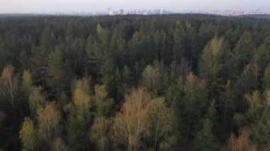 Ormanın üzerinde uçuyorlar. Minsk şehri uzaklardan görülebiliyor. Beyaz Rusya