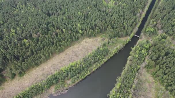 Pohled shora na řeku a most v lese ve východní Evropě.Řeky Běloruska.Lesní řeka v Bělorusku. — Stock video