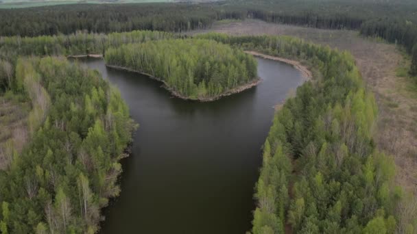 Pohled shora na řeku v lese ve východní Evropě.Řeky Běloruska.Lesní řeka v Bělorusku — Stock video