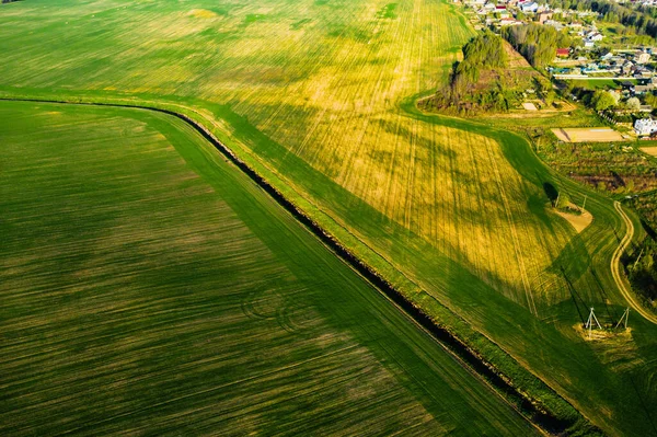 Vista de pájaro de un campo verde. Campaña de siembra en Bielorrusia. Naturaleza de Bielorrusia. Campo verde propio al atardecer —  Fotos de Stock