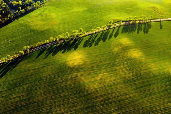 Вид Висоти Пташиного Польоту Зелене Поле Дорога Europe Nature Belus — стокове фото
