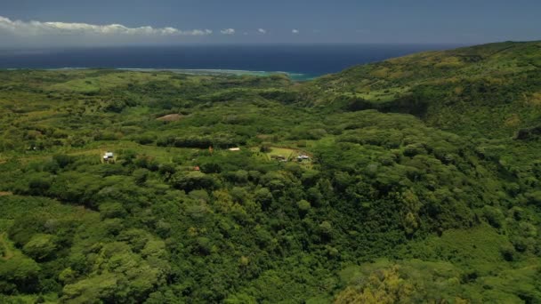 Utsikten fra fuglene, med utsikt over jungelen og Indiahavet, Mauritius – stockvideo