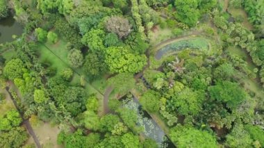 Mauritius, Pamplemus Botanik Bahçesi, su zambaklı göletin en üst manzarası Victoria Regnal