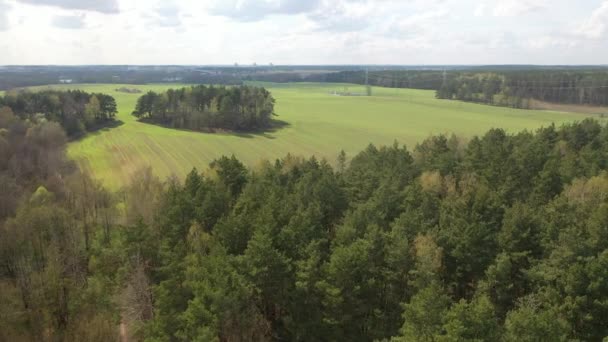 Vol lent au-dessus d'un champ semé de verdure. Images de drones 4K. champs de Biélorussie — Video