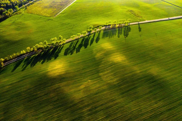 Una vista de pájaro de un campo verde y una carretera en Europa.Naturaleza de Belarus.Propio campo verde al atardecer y carretera —  Fotos de Stock