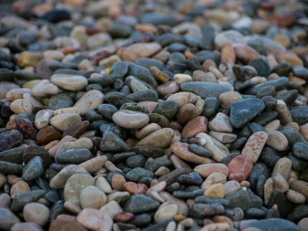 Wet Smooth Stones Sea Coast — Stock Photo, Image