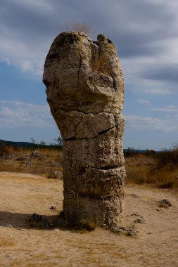 Bulgaristan 'ın ünlü 