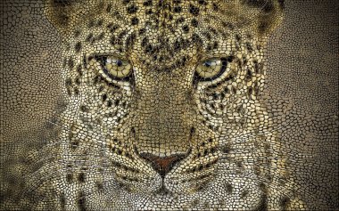 Mozaik leopar yüzünü kapat