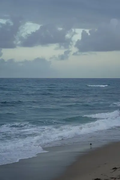 Belle Journée Ensoleillée Plage Près Océan — Photo