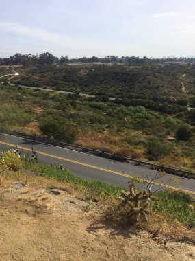 Güzel Scottsdale Arizona Çölü