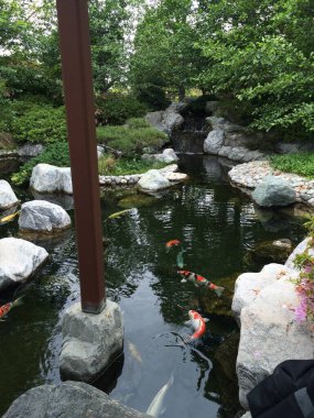 San Francisco 'daki Japon Bahçesi barış ve zen dolu. 