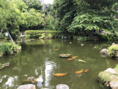 San Francisco 'daki Japon Bahçesi barış ve zen dolu. 