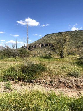 Güzel Scottsdale Arizona Çölü