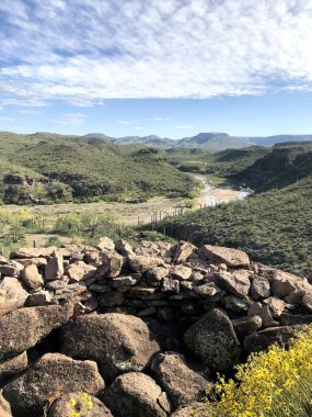 Güzel Scottsdale Arizona Çölü