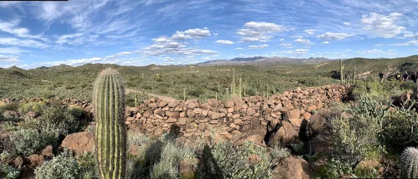 Krásná Poušť Scottsdale Arizona — Stock fotografie