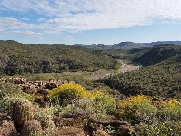 Schöne Wüste Scottsdale Arizona — Stockfoto