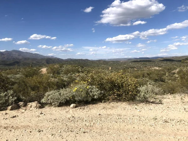 Schöne Wüste Scottsdale Arizona — Stockfoto