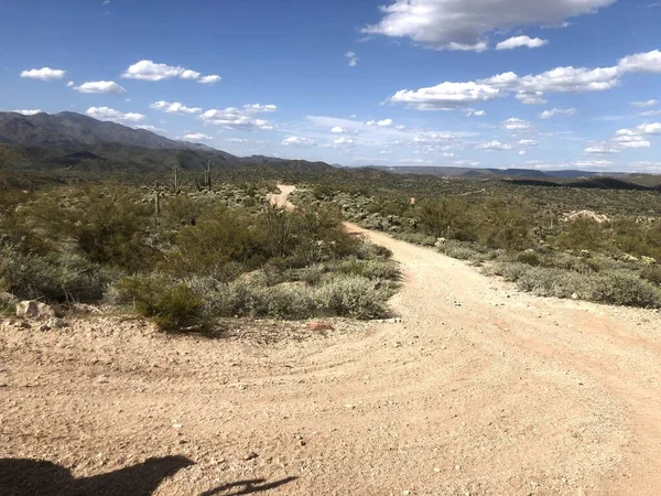 Schöne Wüste Scottsdale Arizona — Stockfoto