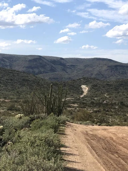 Güzel Scottsdale Arizona Çölü — Stok fotoğraf