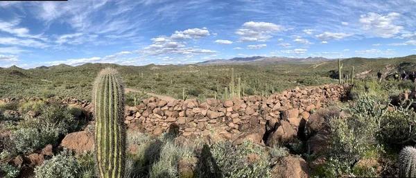 Vacker Scottsdale Arizona Öken Stockbild