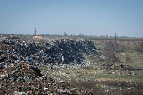 Pile Garbage City Dump Ecological Catastrophy — Stock Photo, Image