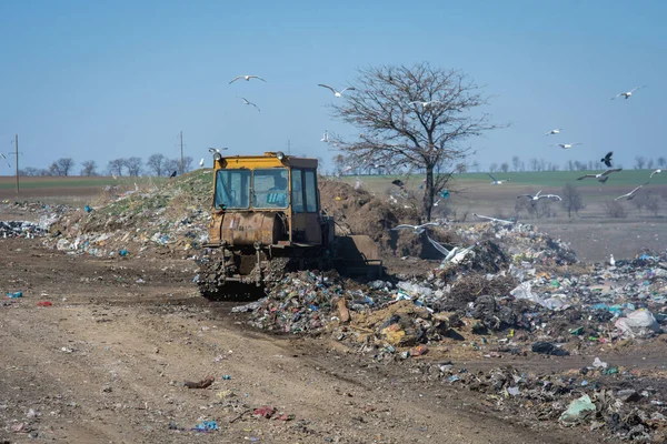 Tractor Works City Landfill City Dump Pile Garbage — Stock Photo, Image