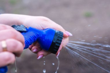 Yeşil çimenleri sulayan çim püskürtücü. 