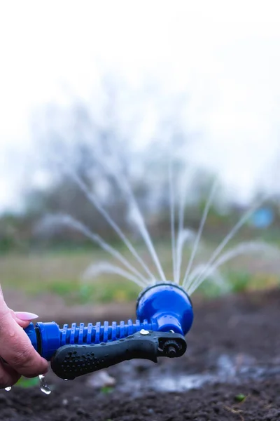 Yeşil çimenleri sulayan çim püskürtücü. 