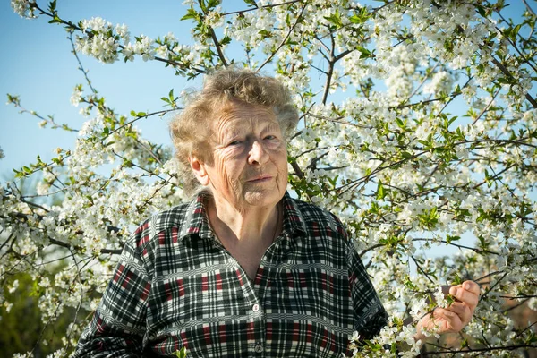 Pozytywne Emocje Pięknej Starej Kobiety Podczas Wizyty Ogrodzie Tle Kwitnącej — Zdjęcie stockowe