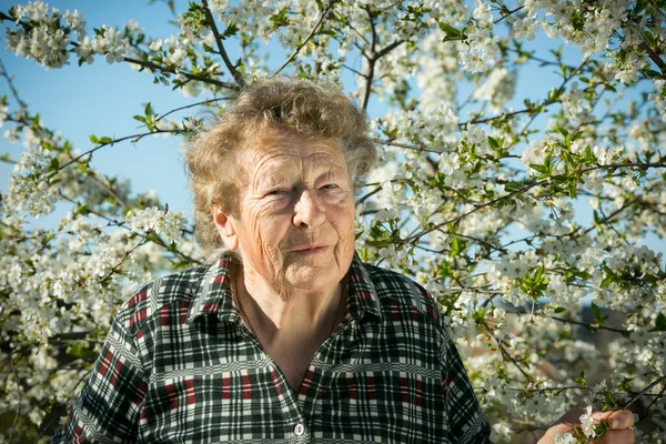 Pozytywne Emocje Pięknej Starej Kobiety Podczas Wizyty Ogrodzie Tle Kwitnącej — Zdjęcie stockowe