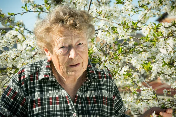 Pozitivní Emoce Krásné Staré Ženy Při Návštěvě Zahrady Pozadí Kvetoucí — Stock fotografie