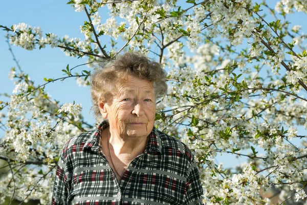 Positieve Emoties Van Een Mooie Oude Vrouw Tijdens Een Bezoek — Stockfoto
