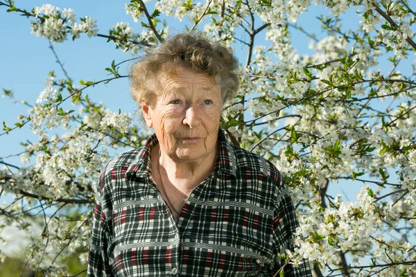 Pozytywne Emocje Pięknej Starej Kobiety Podczas Wizyty Ogrodzie Tle Kwitnącej — Zdjęcie stockowe