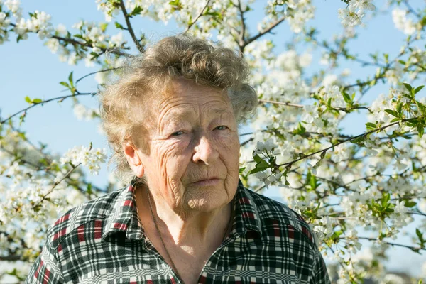 Positieve Emoties Van Een Mooie Oude Vrouw Tijdens Een Bezoek — Stockfoto