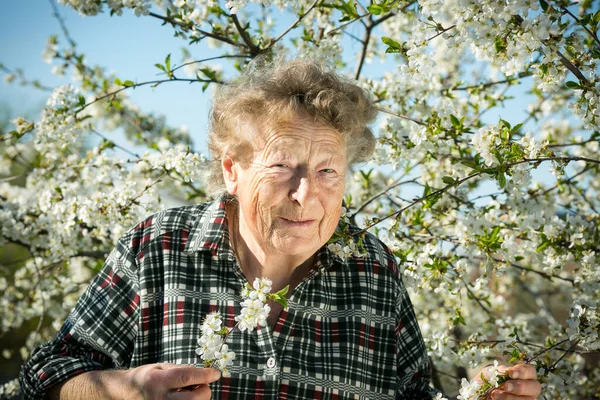 Позитивні Емоції Красивої Старої Жінки Яка Тримає Гілку Квітучої Вишні — стокове фото