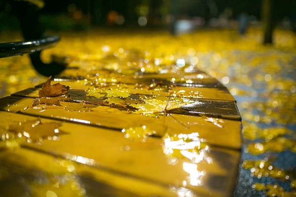 Żółty Upadły Liść Klonu Nocy Jesienna Deszczowa Pogoda Mokrej Ławce — Zdjęcie stockowe