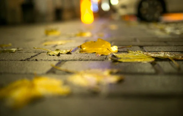 Feuille Érable Jaune Tombée Par Temps Pluvieux Surface Des Dalles — Photo